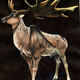 Artist’s conception of the Great Elk.